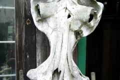 DSCI0046