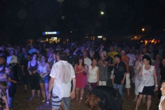 sommerparty_2010_072