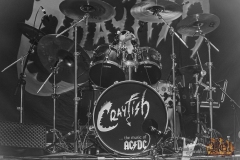 Crayfish